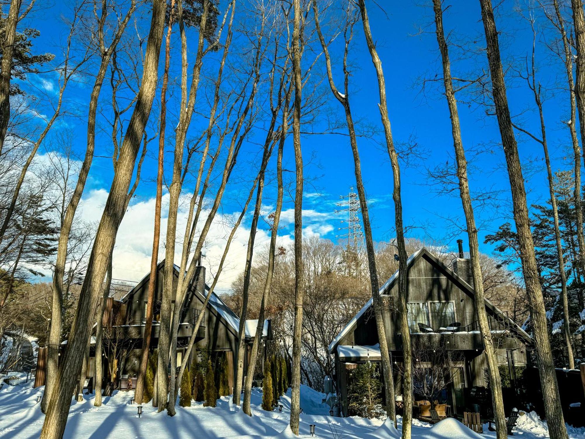 Sauna Forest Cabin 軽井沢 御代田　Mori-Asobi Oiwake Eksteriør bilde